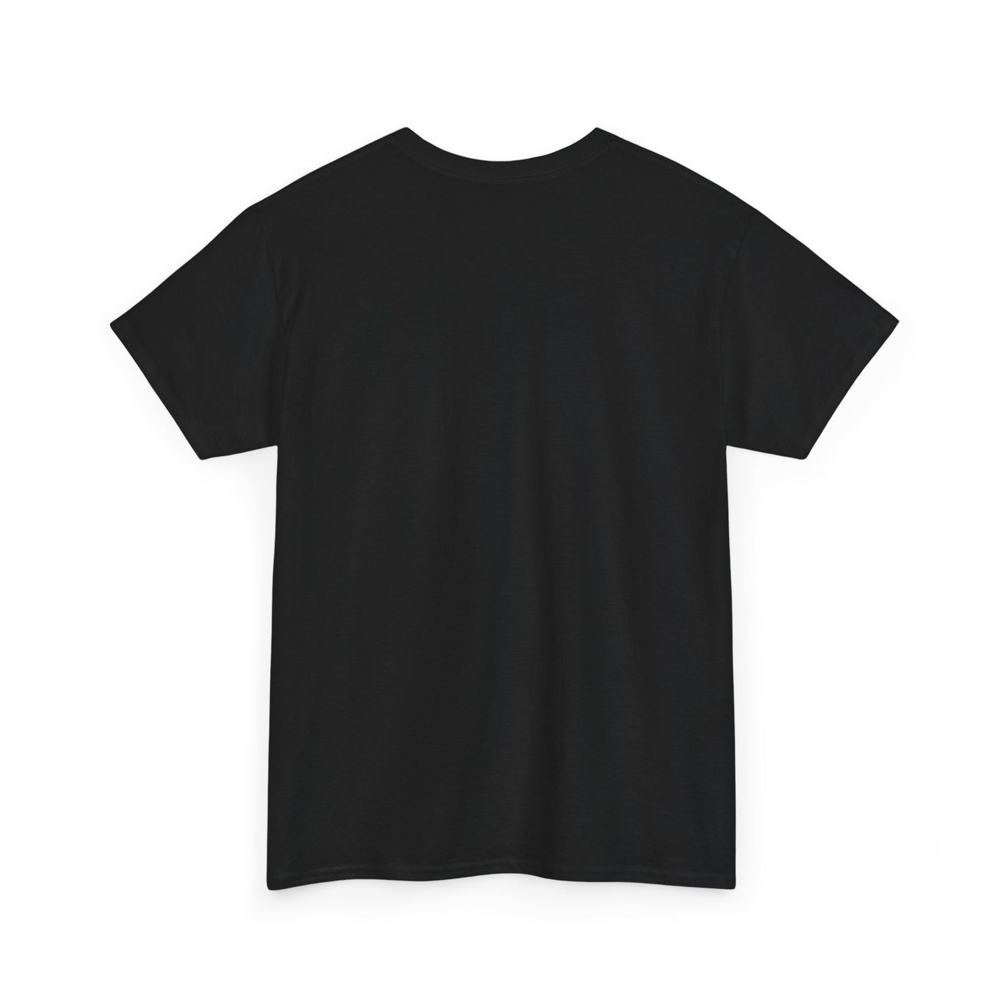 Gravitee 100% Cotton Graphic Adult T-Shirt | AVOID HOBOSEXUALS AT ALL COSTS