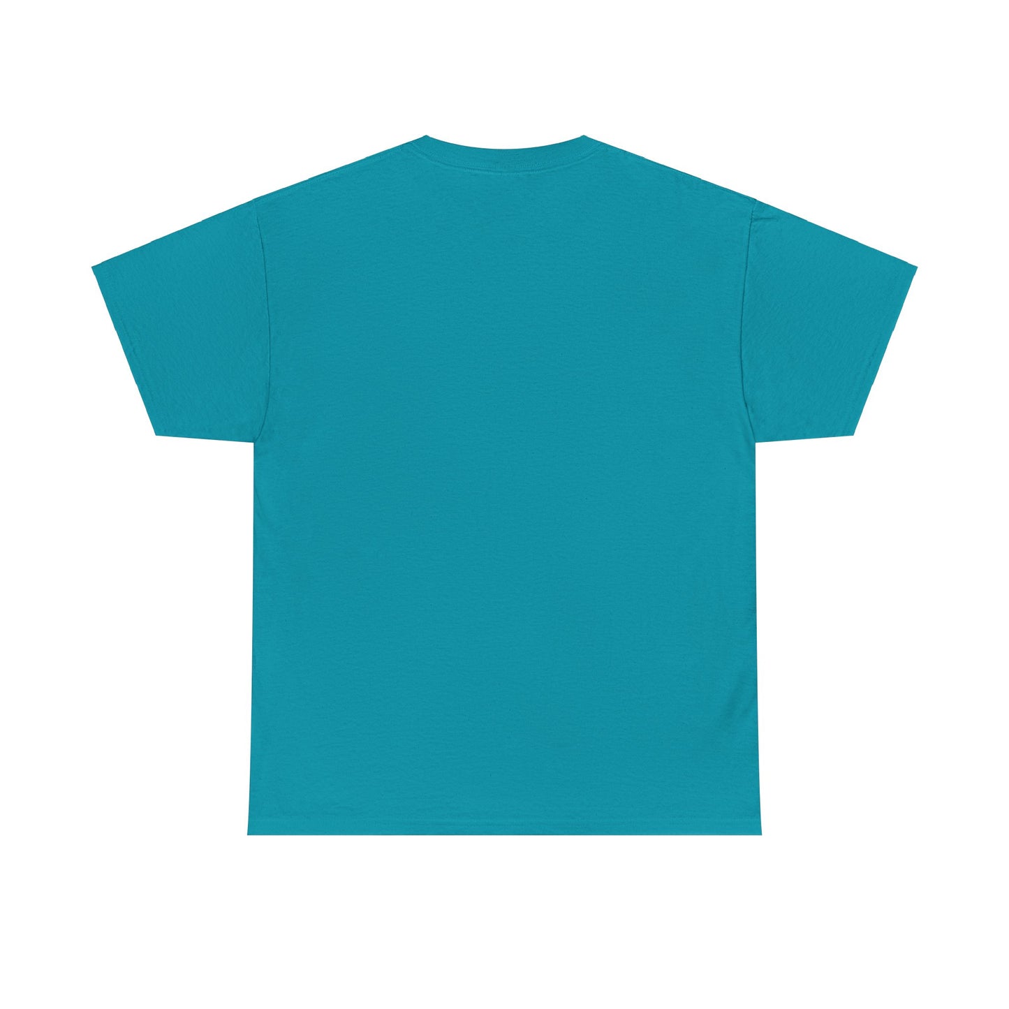 Gravitee 100% Cotton Graphic Adult T-Shirt | AVOID HOBOSEXUALS AT ALL COSTS
