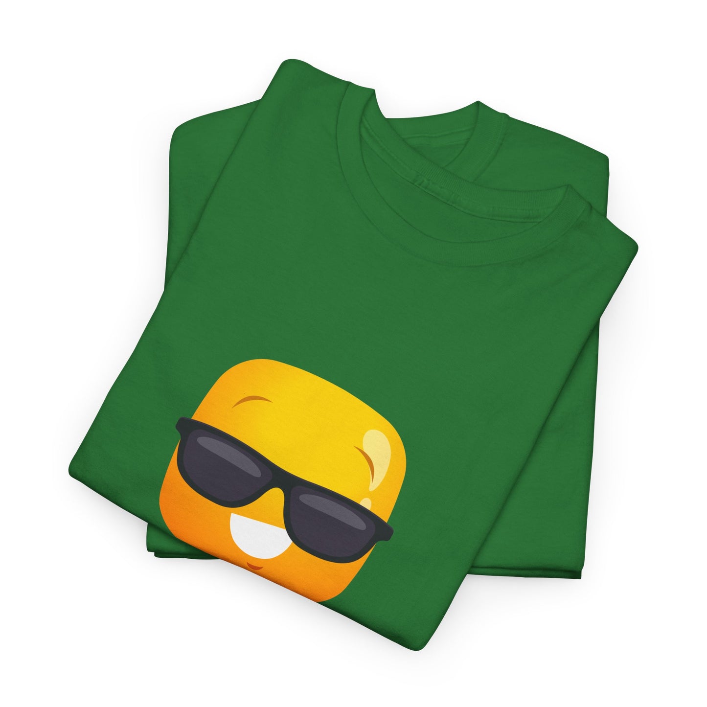 Gravitee 100% Cotton Graphic Adult T-Shirt | AVOID HOBOSEXUALS AT ALL COSTS